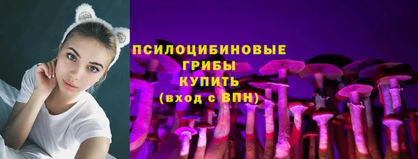 спайс Рославль