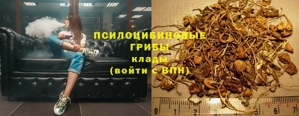 дживик Алексин