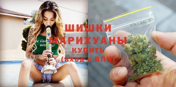 меф Арсеньев